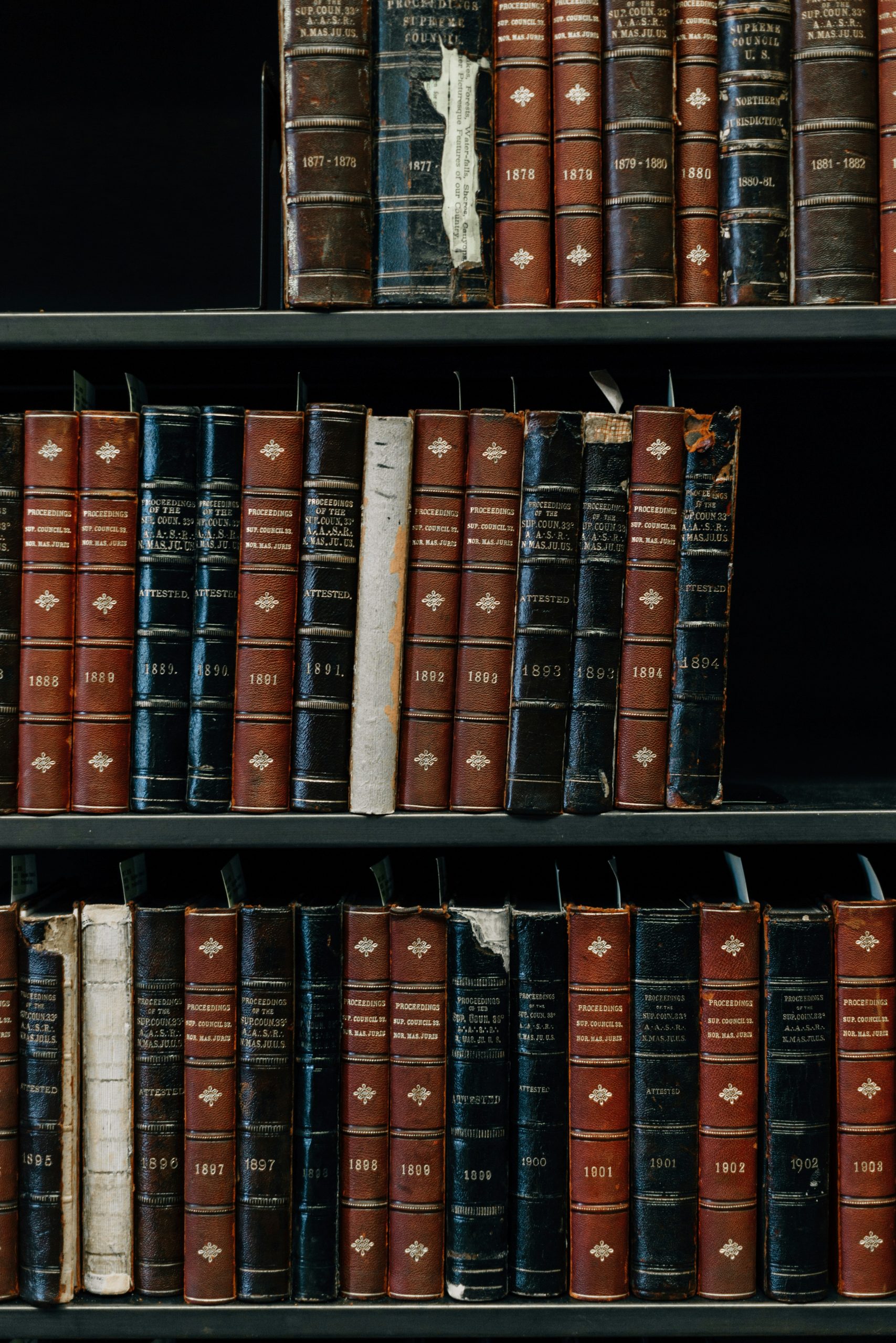erol-ahmed-N23rmTcf0NA-unsplash